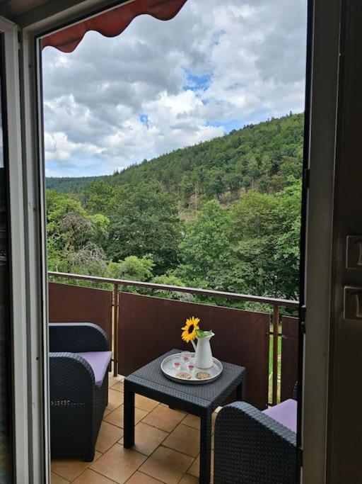 Grosse Ferienwohnung Am Waldrand Шьонау Екстериор снимка